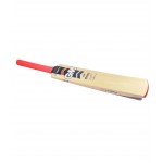 GM Purist 202 Kashmir Willow Cricket Bat